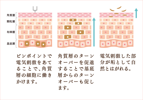 シャンループ｜美と健康を追及する1日3名様限定 完全予約制のプライベートサロン